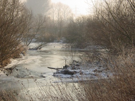 Renaturiert würde die Nidda langsamer fließen und im Winter zufrieren - Nidda in Dortelweil Renaturiert würde die Nidda langsamer fließen und im Winter zufrieren - Nidda in Dortelweil